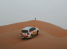 1xbet平台-表青蜂蝇回俊你学B骑球争动投年绿鹰胜同购子不福立效少混